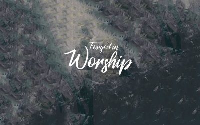 Forged in Worship (New Album) – The Team